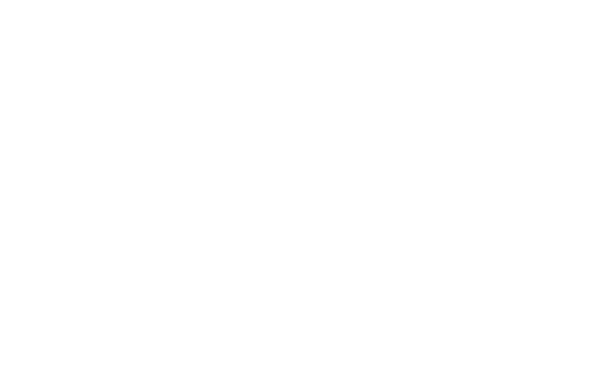 Бизон: Дело манекенщицы