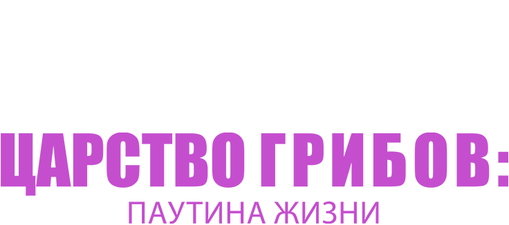 Царство грибов: паутина жизни