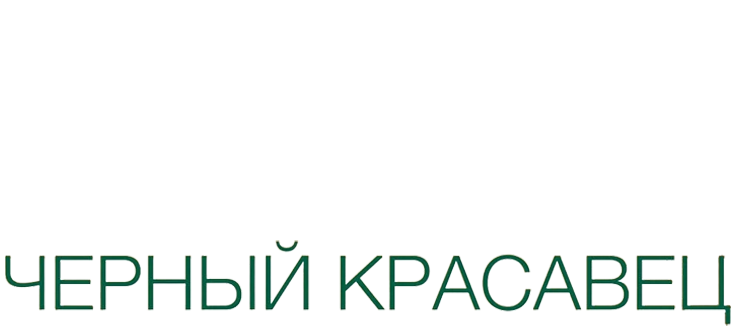 Черный красавец
