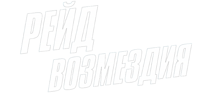 Рейд возмездия