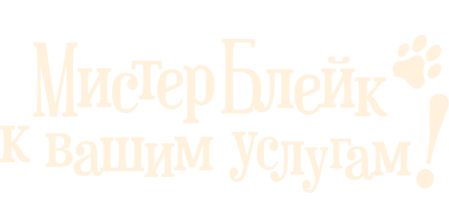 Мистер Блейк к вашим услугам