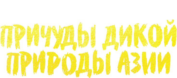 Причуды дикой природы Азии