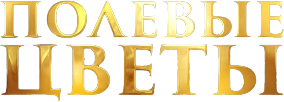 Полевые цветы