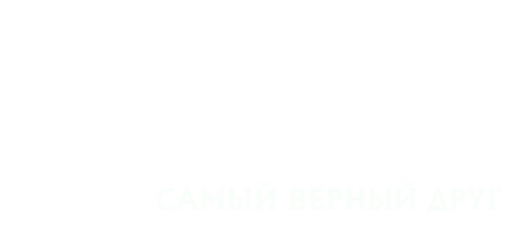 Хатико: Самый верный друг