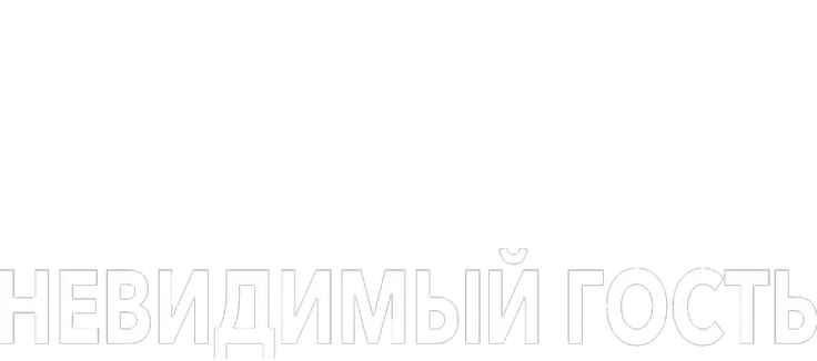 Невидимый гость
