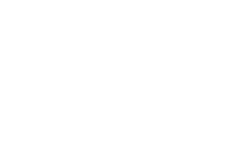 Искусство обмана