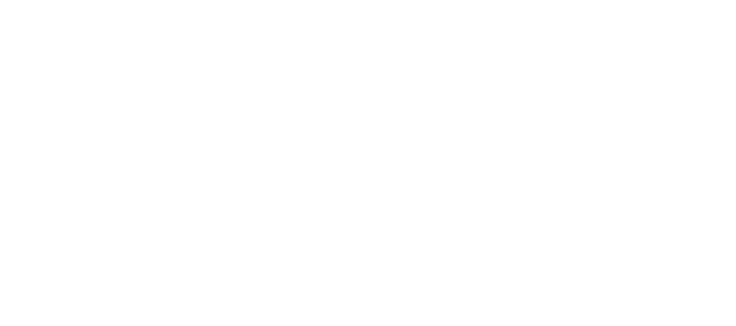 Тайна личности Борна