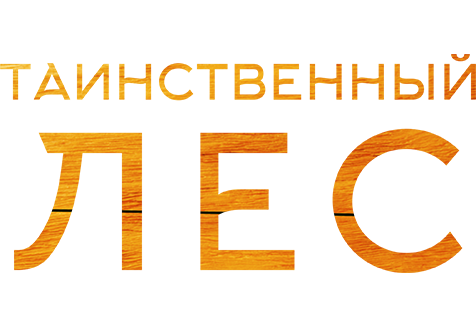 Таинственный лес