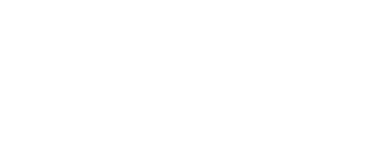 Hachi: A Dog's Tale