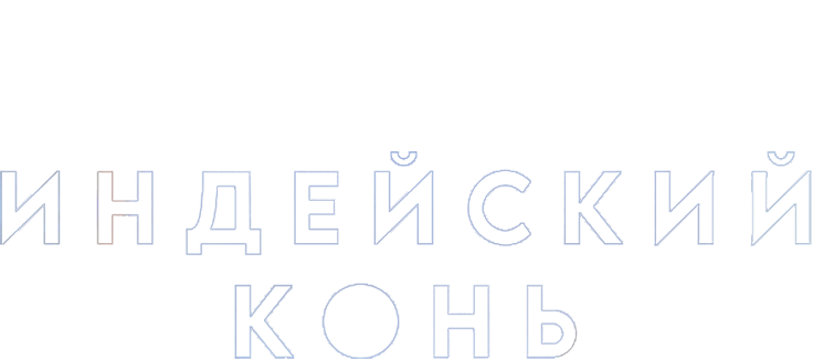 Индейский конь