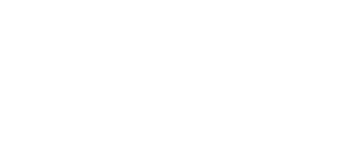 Мистификация