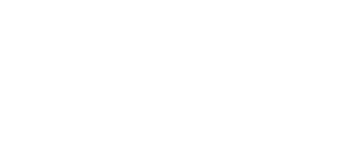 Отчаянный ход