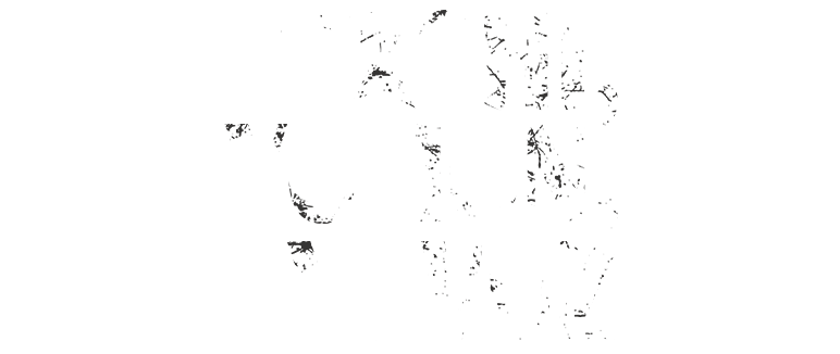 Yaxshi, yomon, yovuz