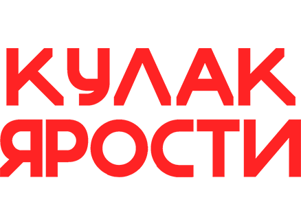 Кулак ярости