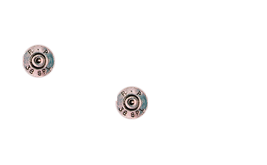 Полицейская история