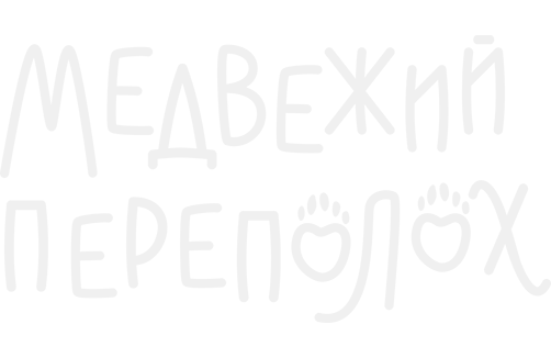 Медвежий переполох