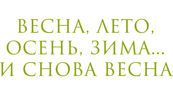 Весна, лето, осень, зима... и снова весна