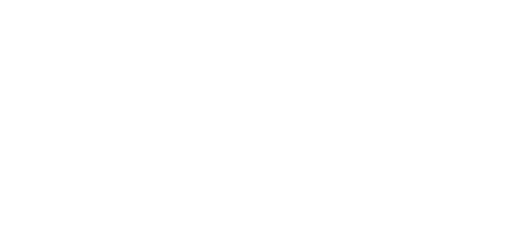 The Fast and the Furious