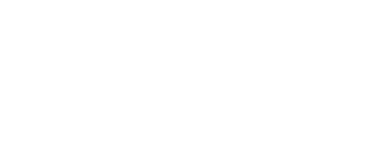 The Fate of the Furious