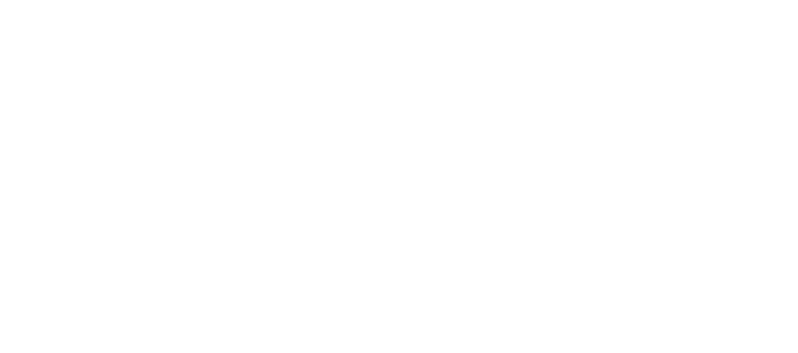 Fast & Furious