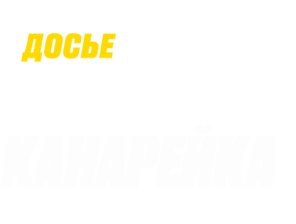 Досье «Чёрная канарейка»