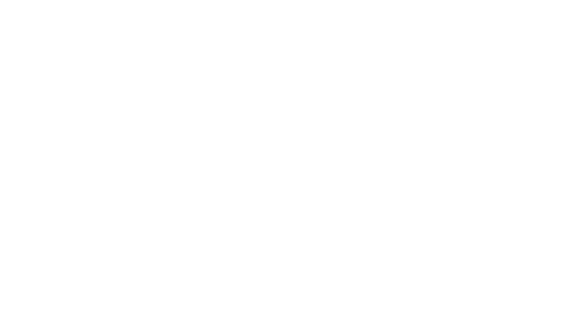 Джой: Маленькое чудо