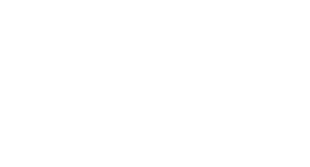 Мальтийский сокол