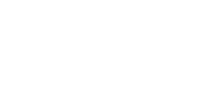 Последний выстрел