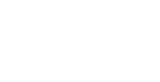 Лучшая жизнь