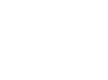 Муравей Антц