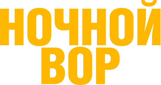 Ночной вор