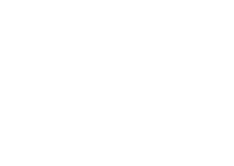 Лес чудес