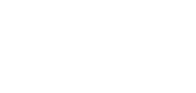 Большой Босс