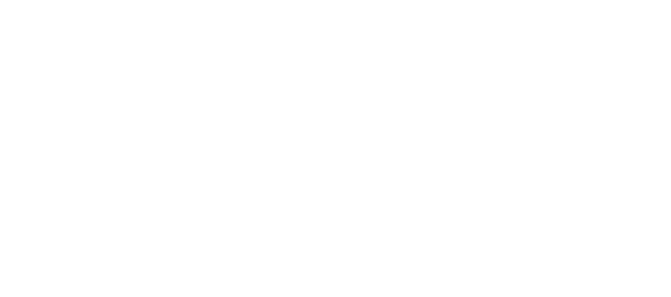 Формула преступления
