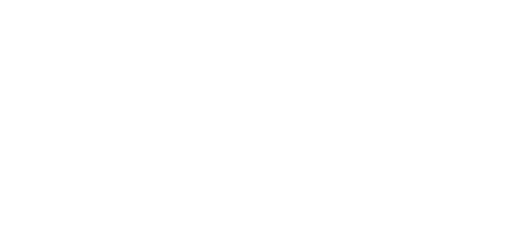 Последняя фантазия VII: Дети пришествия