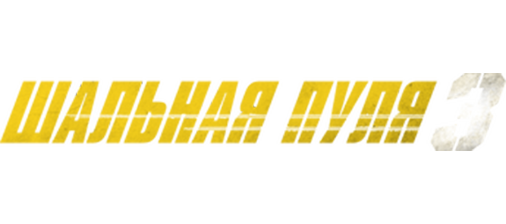 Шальная пуля 3