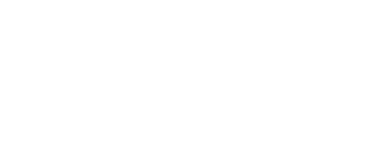 Великолепная поездка