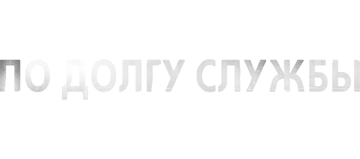 По долгу службы
