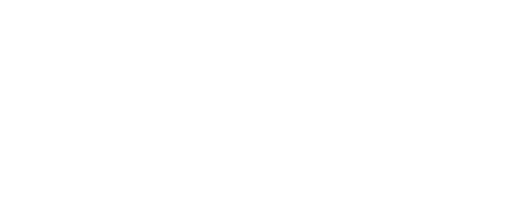 Изобретая Анну