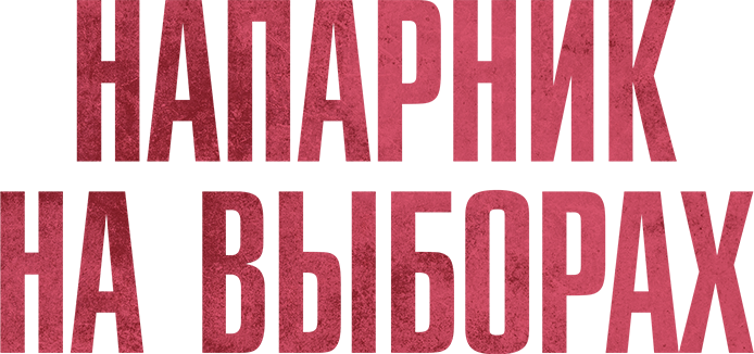 Напарник на выборах