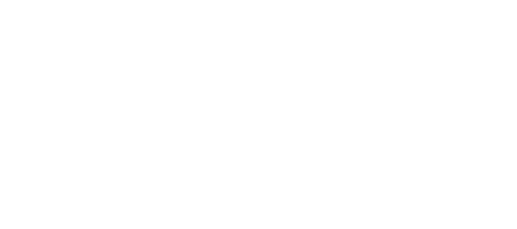 Честная жизнь