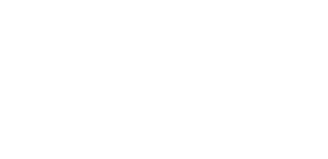 Звездочки на земле