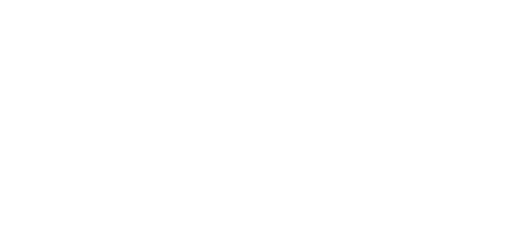 Исчезнувшая