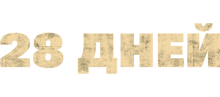28 дней