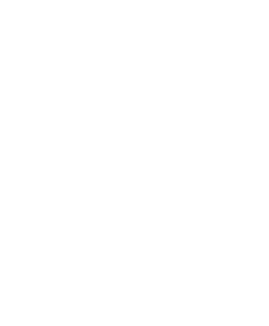Девятая жизнь Луи Дракса
