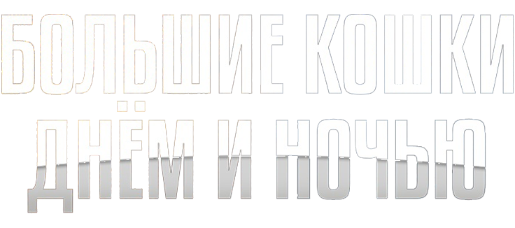 Большие кошки днём и ночью