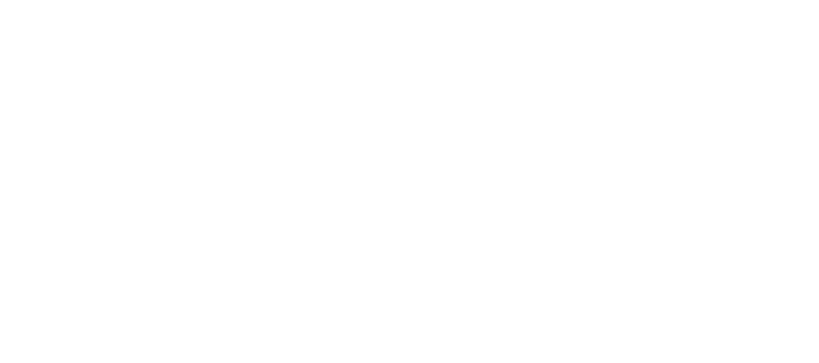 Зверь войны