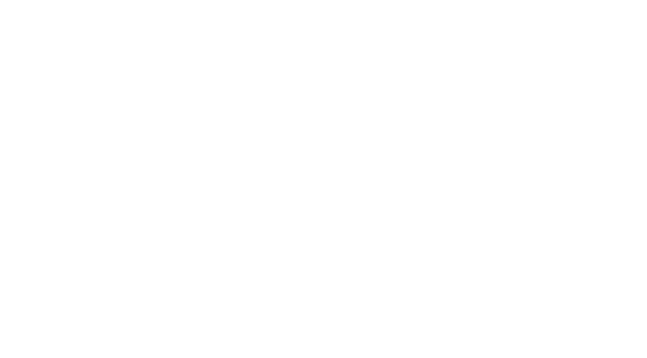 Счастье для начинающих