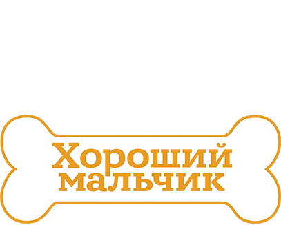 Хороший мальчик