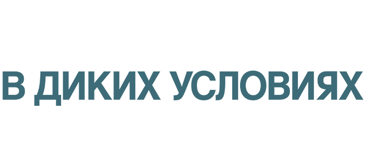 В диких условиях